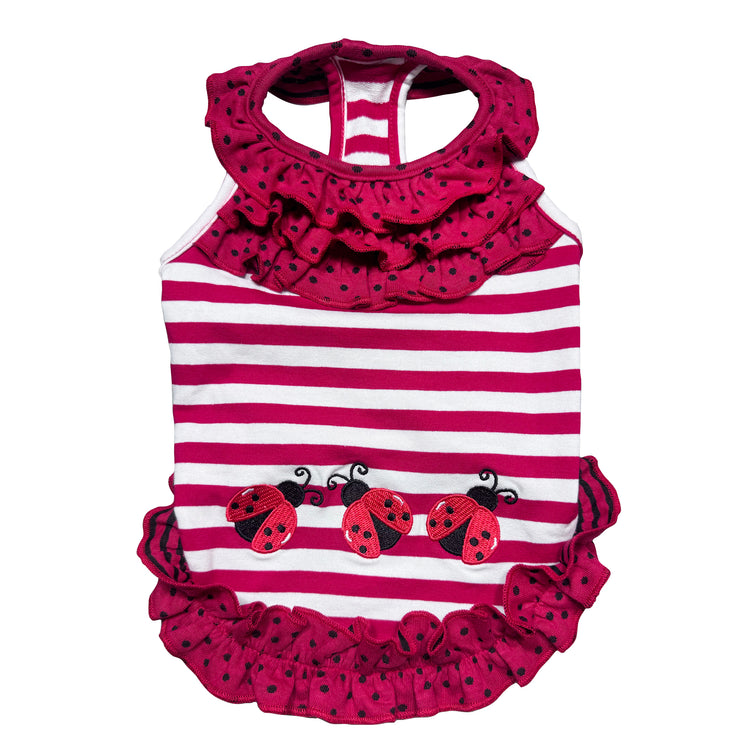 Knit Cotton Ladybug Kisses Ruffle Dress