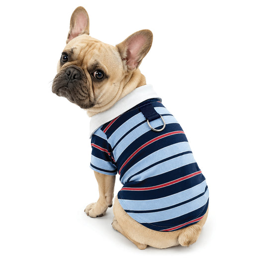 Premium Knit Cotton Harbor Blue Striped Polo Shirt