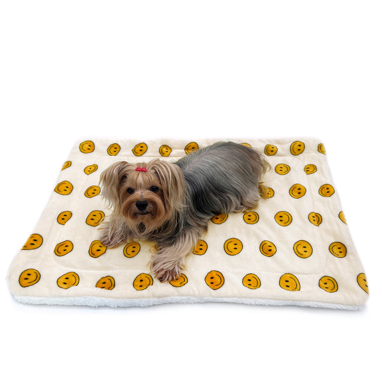 Double Layered Ultra Plush Happy Face Blanket