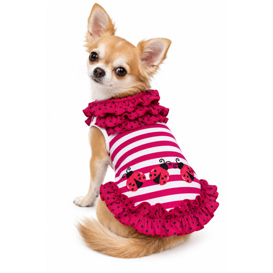 Knit Cotton Ladybug Kisses Ruffle Dress