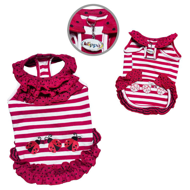 Knit Cotton Ladybug Kisses Ruffle Dress