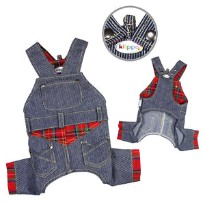 Adorable Stripy Denim Overall with Plaid Accents