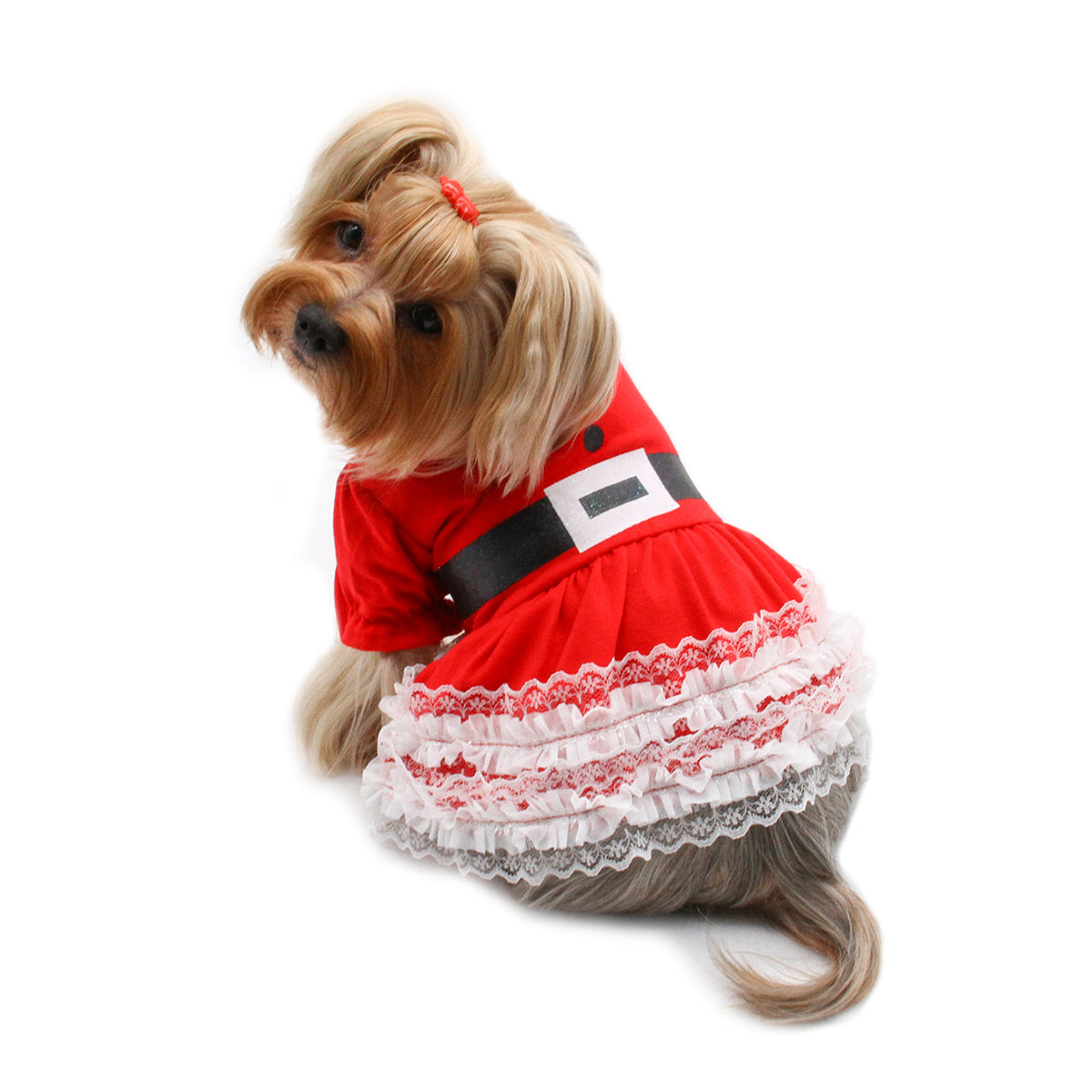 Lace Ruffles Puffy Sleeves Christmas Dress